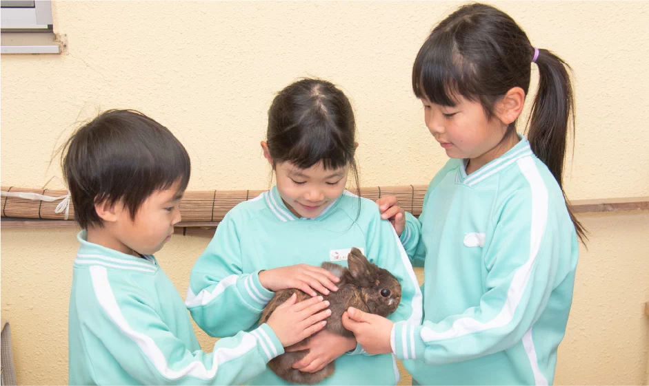 園で飼育しているうさぎとふれあう様子